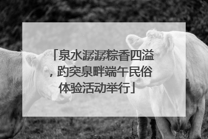 泉水潺潺粽香四溢，趵突泉畔端午民俗体验活动举行