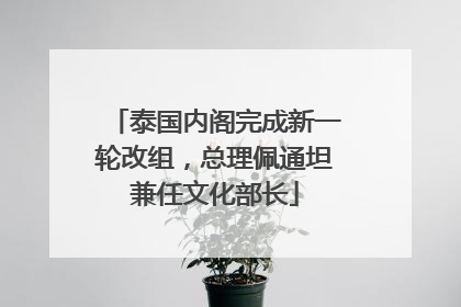 泰国内阁完成新一轮改组，总理佩通坦兼任文化部长