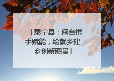 泰宁县：闽台携手赋能，绘就乡建乡创新图景