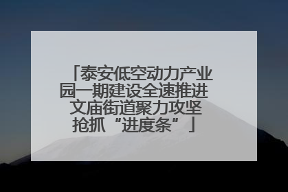 泰安低空动力产业园一期建设全速推进 文庙街道聚力攻坚抢抓“进度条”