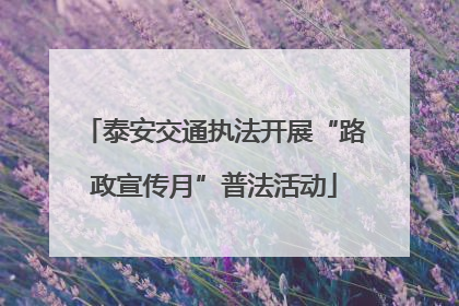 泰安交通执法开展“路政宣传月”普法活动
