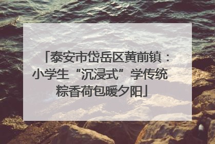 泰安市岱岳区黄前镇：小学生“沉浸式”学传统 粽香荷包暖夕阳