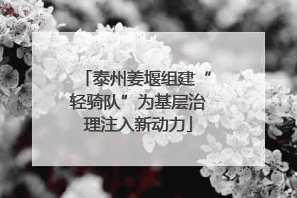 泰州姜堰组建“轻骑队”为基层治理注入新动力