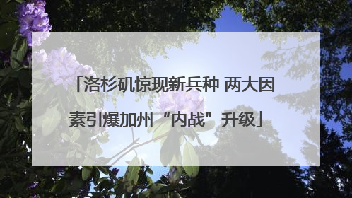 洛杉矶惊现新兵种 两大因素引爆加州“内战”升级