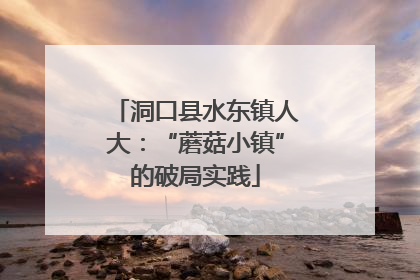 洞口县水东镇人大：“蘑菇小镇”的破局实践