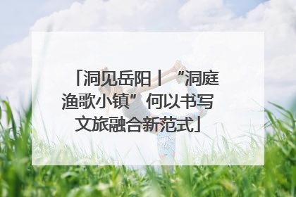 洞见岳阳丨“洞庭渔歌小镇”何以书写文旅融合新范式