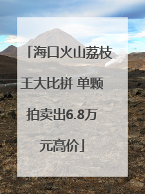 海口火山荔枝王大比拼 单颗拍卖出6.8万元高价