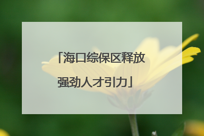 海口综保区释放强劲人才引力