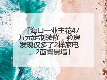 海口一业主花47万元定制装修，验房发现仅多了2样家电、2面背景墙
