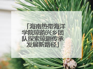 海南热带海洋学院琼韵兴乡团队探索琼剧传承发展新路径