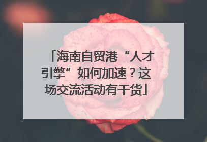 海南自贸港“人才引擎”如何加速？这场交流活动有干货