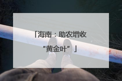 海南：助农增收 “黄金叶”