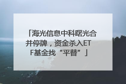 海光信息中科曙光合并停牌，资金杀入ETF基金找“平替”