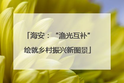 海安：“渔光互补” 绘就乡村振兴新图景