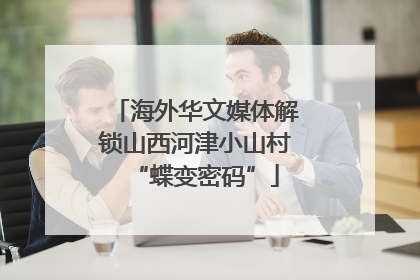 海外华文媒体解锁山西河津小山村“蝶变密码”