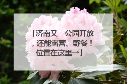 济南又一公园开放，还能露营、野餐！位置在这里→