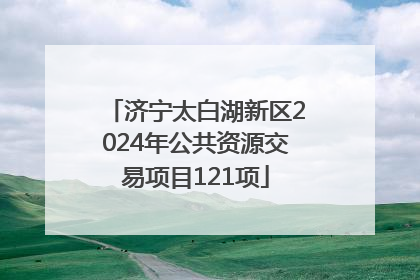 济宁太白湖新区2024年公共资源交易项目121项
