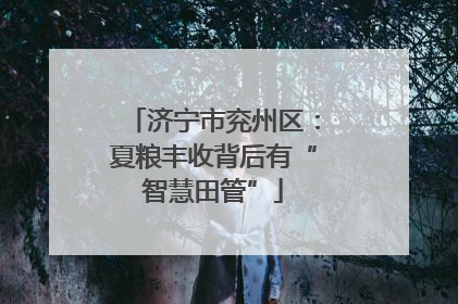 济宁市兖州区：夏粮丰收背后有“智慧田管”