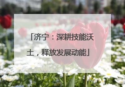 济宁：深耕技能沃土，释放发展动能