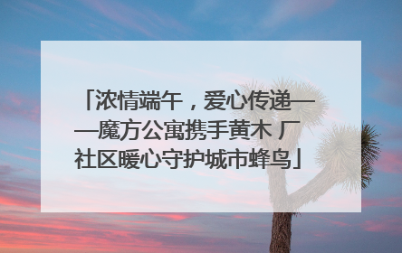 浓情端午，爱心传递——魔方公寓携手黄木 厂社区暖心守护城市蜂鸟