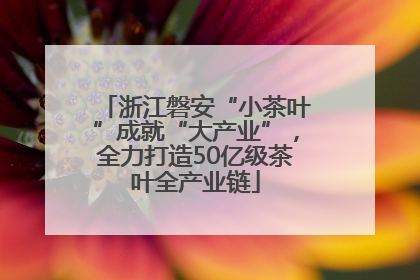 浙江磐安“小茶叶”成就“大产业”，全力打造50亿级茶叶全产业链