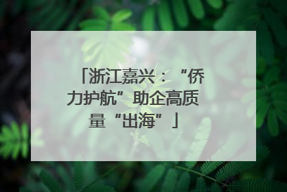 浙江嘉兴：“侨力护航”助企高质量“出海”
