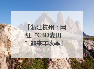 浙江杭州：网红“CBD麦田”迎来丰收季