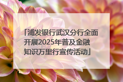 浦发银行武汉分行全面开展2025年普及金融知识万里行宣传活动