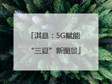 淇县：5G赋能“三夏”新图景