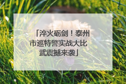 淬火砺剑！泰州市巡特警实战大比武震撼来袭
