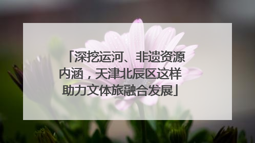 深挖运河、非遗资源内涵，天津北辰区这样助力文体旅融合发展