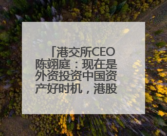 港交所CEO陈翊庭：现在是外资投资中国资产好时机，港股IPO排队企业超160家