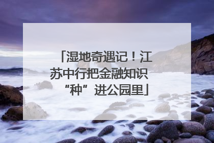 湿地奇遇记！江苏中行把金融知识“种”进公园里