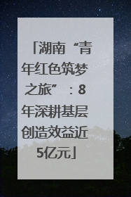 湖南“青年红色筑梦之旅”：8年深耕基层创造效益近5亿元