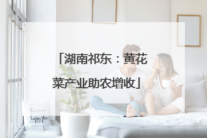 湖南祁东：黄花菜产业助农增收