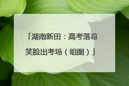 湖南新田：高考落幕 笑脸出考场（组图）