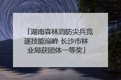 湖南森林消防尖兵竞逐技能巅峰 长沙市林业局获团体一等奖