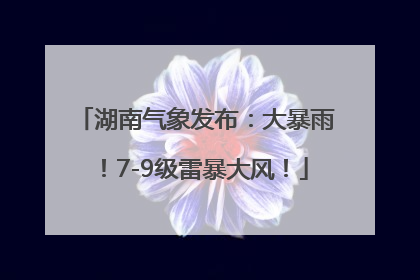 湖南气象发布：大暴雨！7-9级雷暴大风！