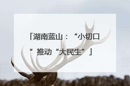 湖南蓝山：“小切口”推动“大民生”