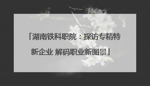 湖南铁科职院：探访专精特新企业 解码职业新图景