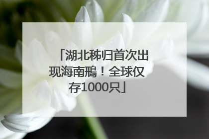 湖北秭归首次出现海南鳽！全球仅存1000只