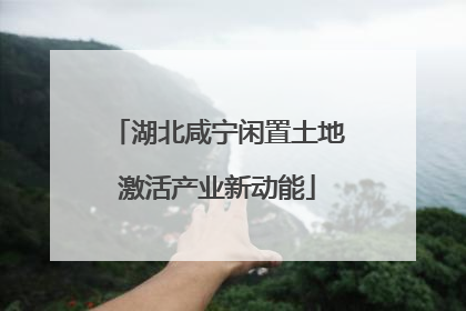 湖北咸宁闲置土地激活产业新动能