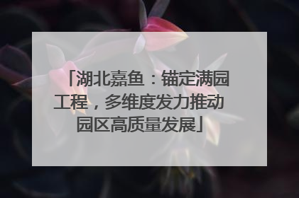 湖北嘉鱼：锚定满园工程，多维度发力推动园区高质量发展