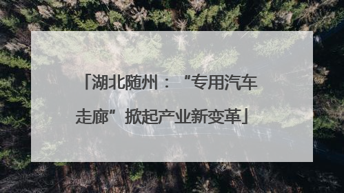 湖北随州：“专用汽车走廊”掀起产业新变革