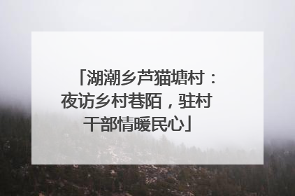 湖潮乡芦猫塘村：夜访乡村巷陌，驻村干部情暖民心