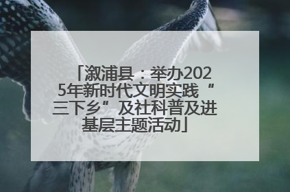 溆浦县：举办2025年新时代文明实践“三下乡”及社科普及进基层主题活动