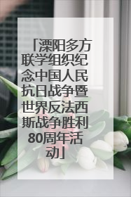 溧阳多方联学组织纪念中国人民抗日战争暨世界反法西斯战争胜利80周年活动