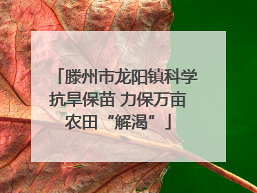 滕州市龙阳镇科学抗旱保苗 力保万亩农田“解渴”