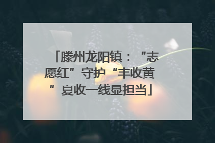 滕州龙阳镇：“志愿红”守护“丰收黄”夏收一线显担当