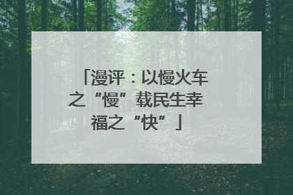 漫评：以慢火车之“慢”载民生幸福之“快”